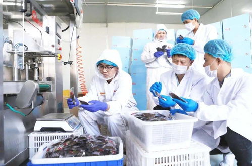 不是吧，食品檢測(cè)技術(shù)都這么先進(jìn)了嗎？生物技術(shù)推廣服務(wù)直擊行業(yè)痛點(diǎn)